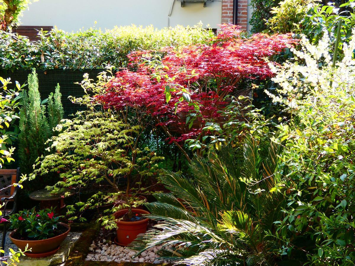 Garden Sweet House Desenzano Lejlighed Desenzano del Garda Eksteriør billede